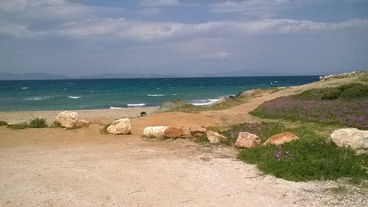 Nireos Proteos 20 Daire Rafína Dış mekan fotoğraf